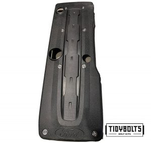 TIDYBOLTS FG barra engine cover bolt kit